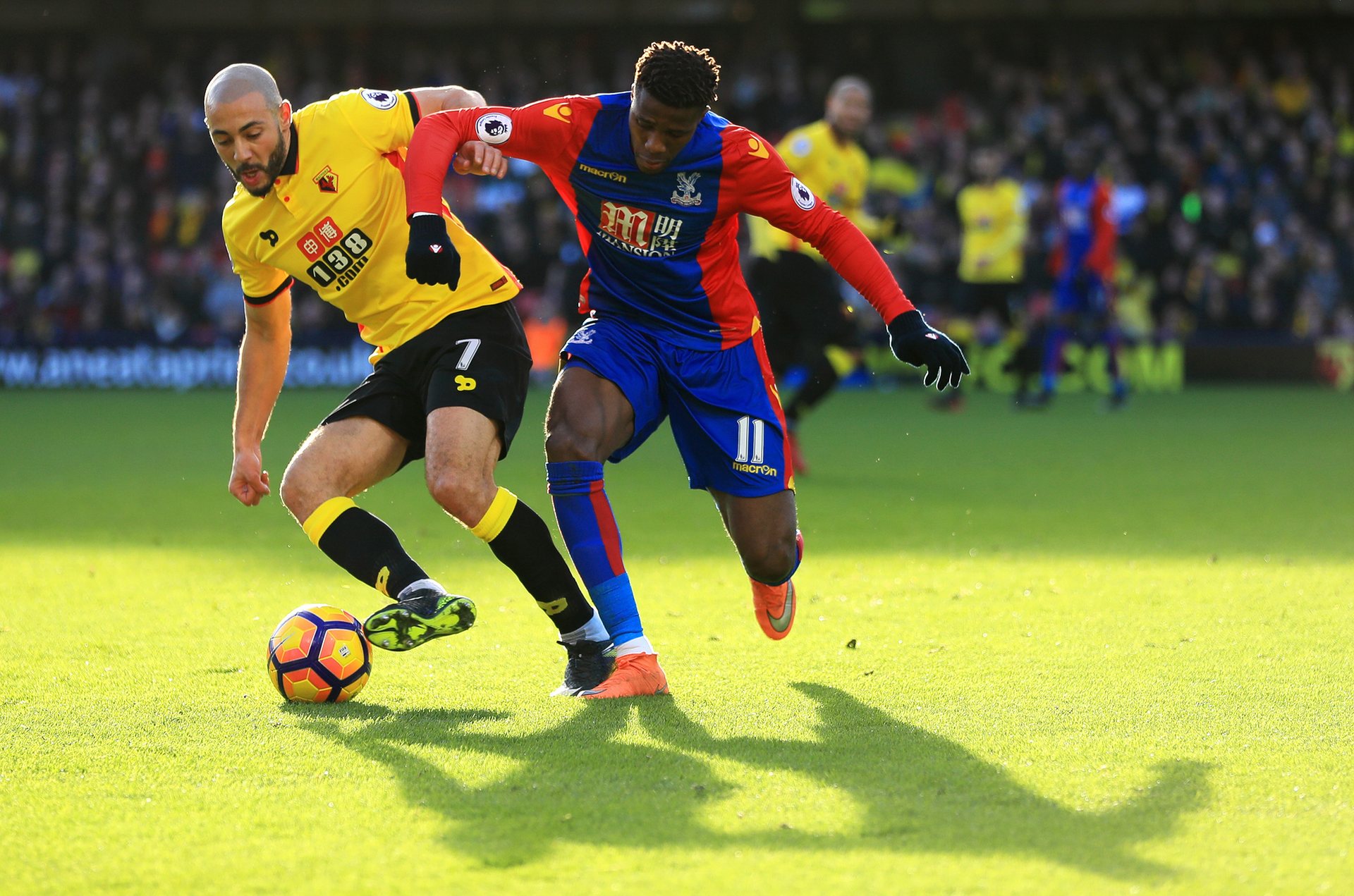 抛出橄榄枝 抛出橄榄枝